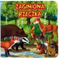 Zaginiona rzeczka JAFI - tantis.pl