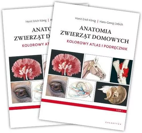 Anatomia zwierząt domowych. Kolorowy atlas i podręcznik - tantis.pl
