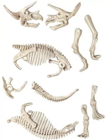 Naukowa zabawa. Triceratops fluorescencyjny - tantis.pl