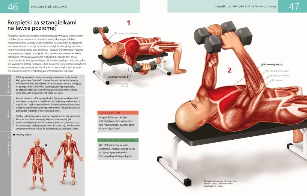 Anatomia ruchu - tantis.pl