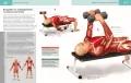 Anatomia ruchu - tantis.pl