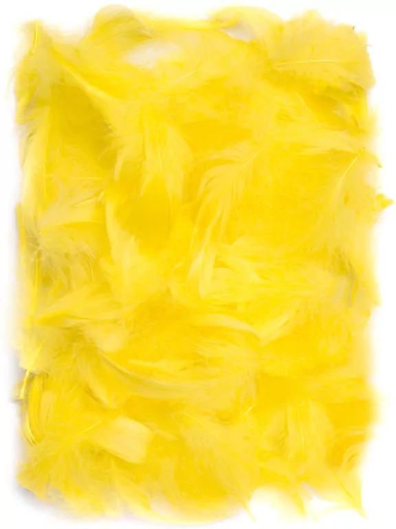 Piórka żółte 5-12cm 10g - tantis.pl