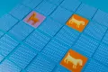 Farma. Memory - tantis.pl