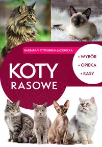 Koty rasowe - tantis.pl