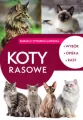 Koty rasowe - tantis.pl