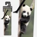 Zakładka 3D. Panda - tantis.pl