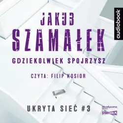 Gdziekolwiek spojrzysz. Ukryta sieć. Tom 3. Audiobook