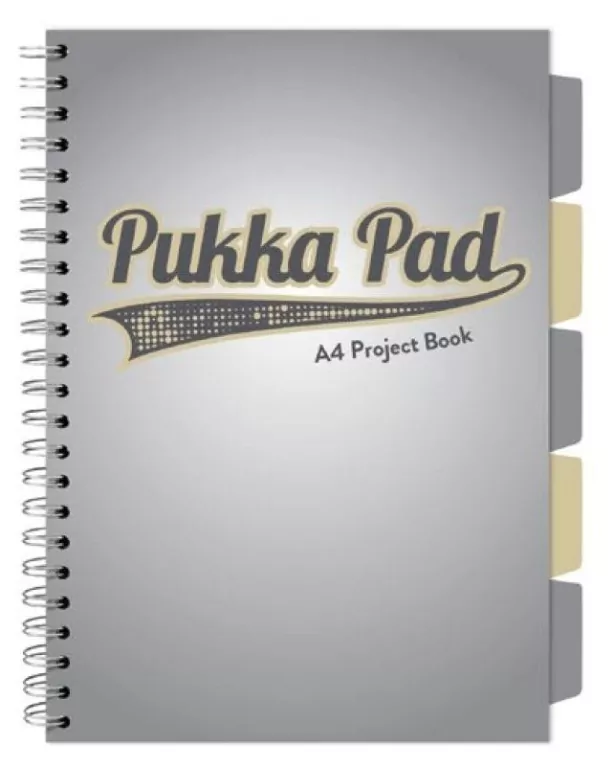 Project Book Grey A4/100 kratka szary - tantis.pl