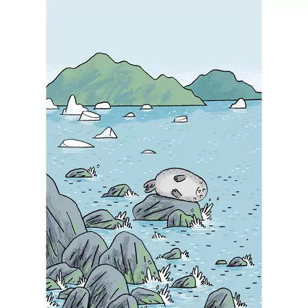 Pozdrowienia z Uchatkowej wyspy - tantis.pl