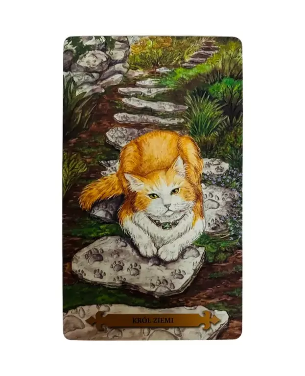 Tarot mistycznych kotów - tantis.pl
