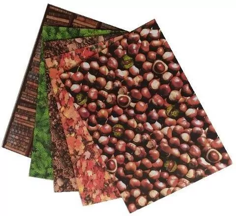 Karton 300g Natura 24x34cm 5 arkuszy - tantis.pl