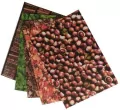 Karton 300g Natura 24x34cm 5 arkuszy - tantis.pl