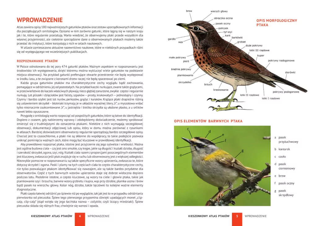Kieszonkowy atlas ptaków. 180 gatunków - tantis.pl