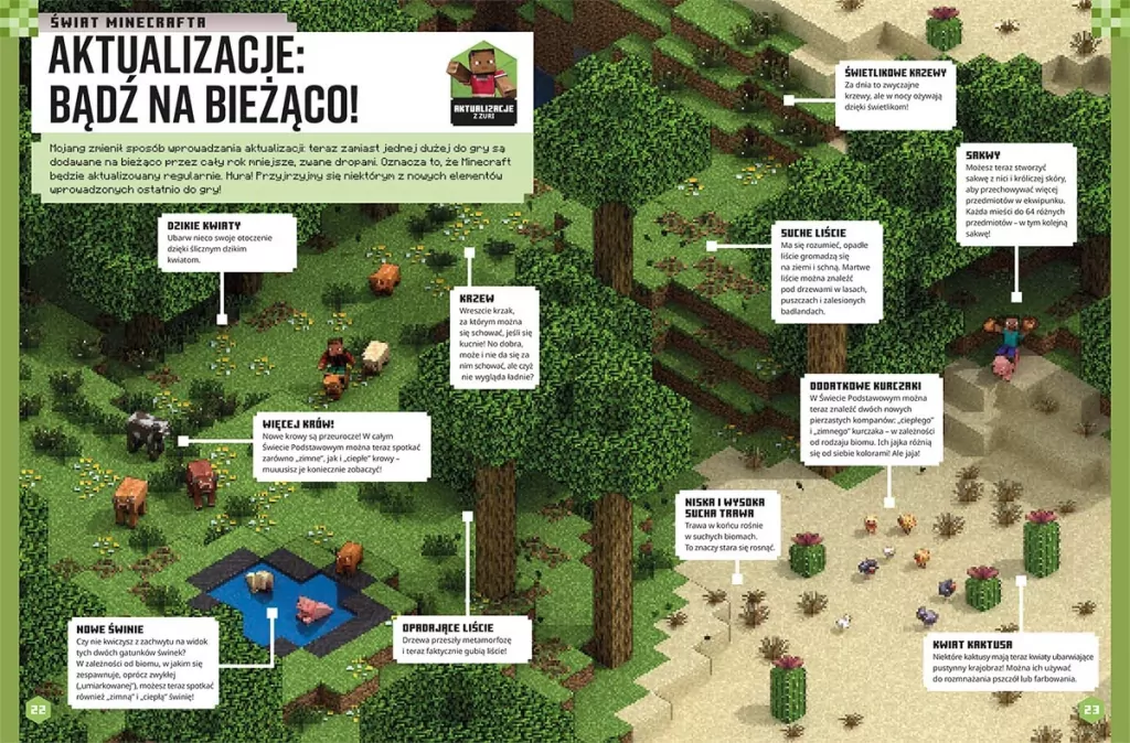 Minecraft. Rocznik 2026 - tantis.pl