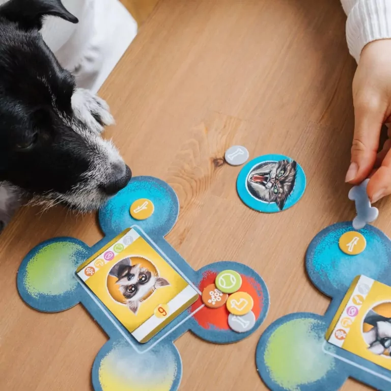 Good boy - tantis.pl