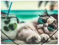 Teczka A4 PP na gumkę z nadrukiem Chillout Cat - tantis.pl