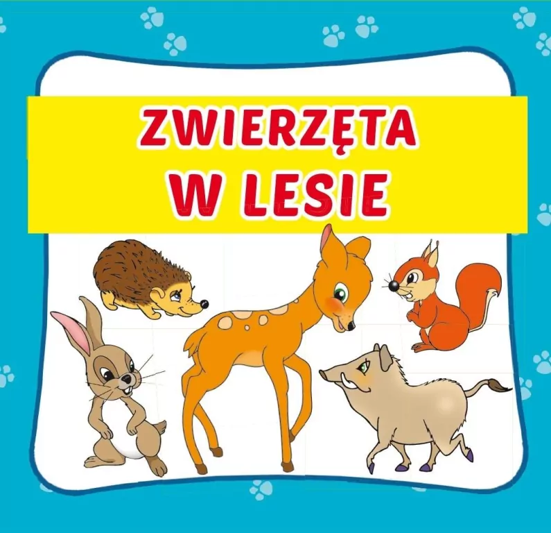 Zwierzęta w lesie - tantis.pl