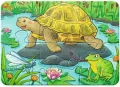 Puzzle 2/4/6/8 Cute Pets - tantis.pl