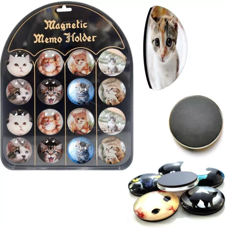 Magnesy koty - tantis.pl