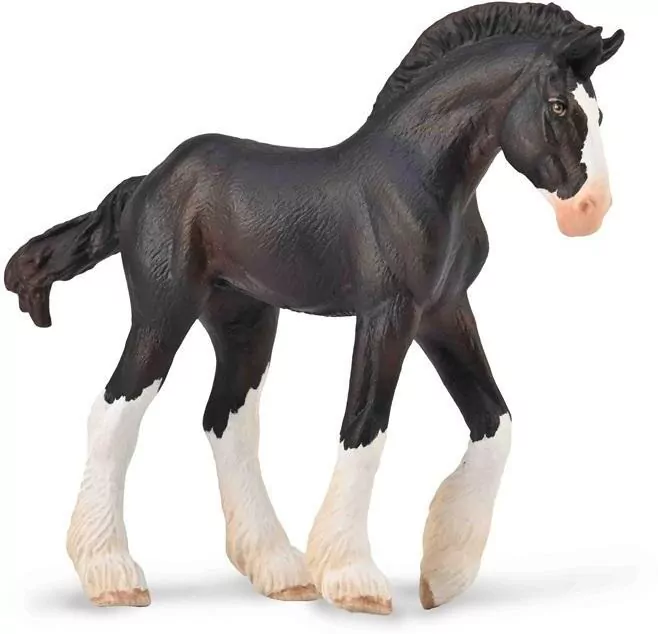 Źrebię Clydesdale maści czarnej - tantis.pl