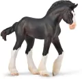Źrebię Clydesdale maści czarnej - tantis.pl