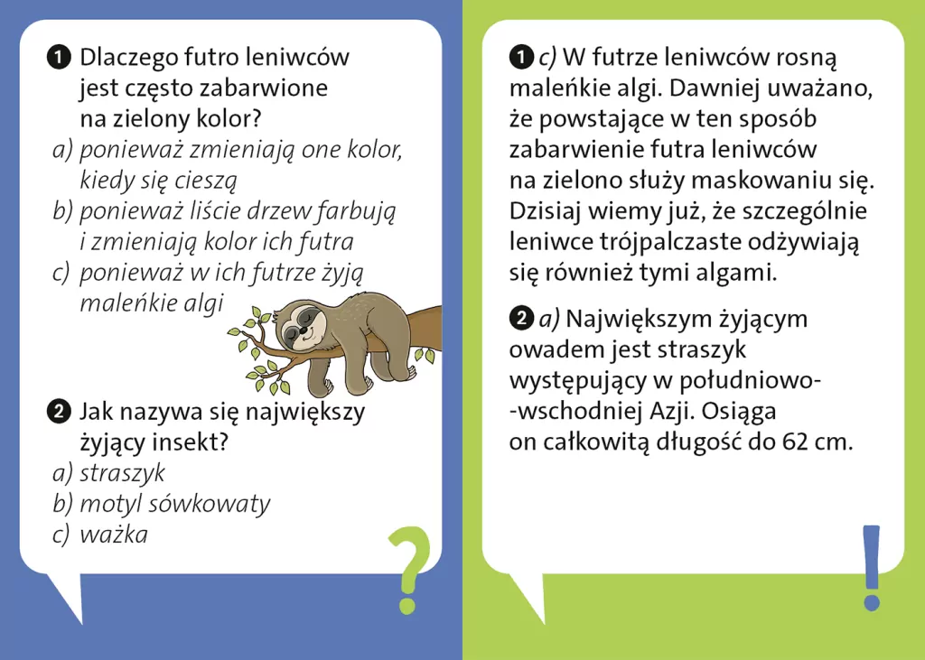 Dlaczego leniwiec jest leniwy? - tantis.pl