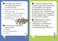 Dlaczego leniwiec jest leniwy? - tantis.pl