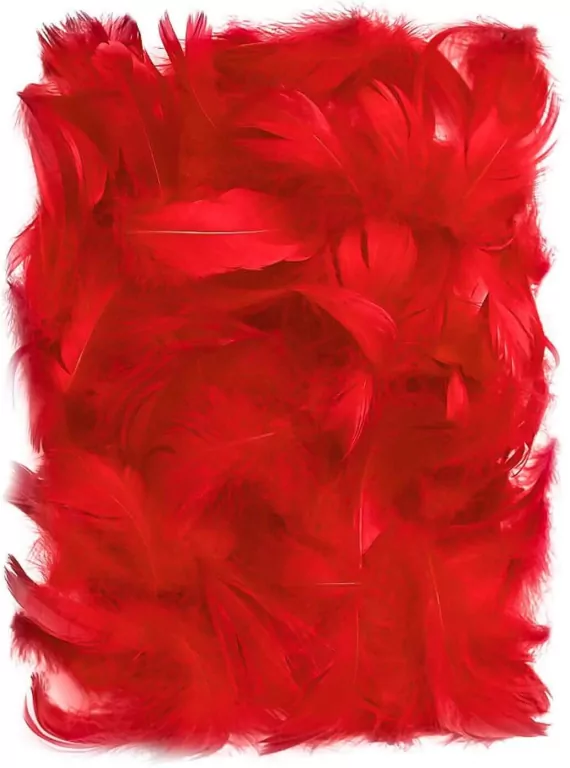 Piórka. Czerwone 5-12cm - tantis.pl