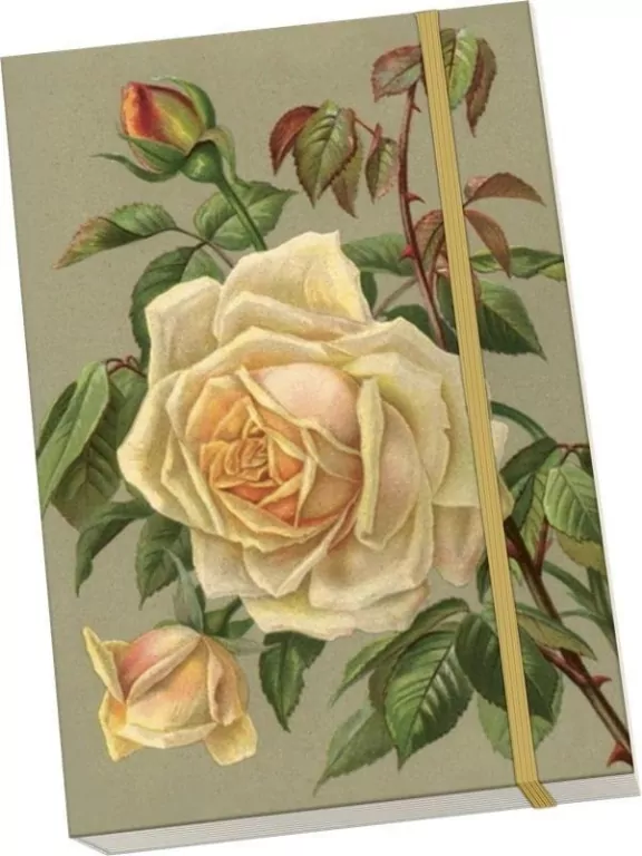 Notatnik ozdobny A5 STNOTE 142 Żółte róże - tantis.pl