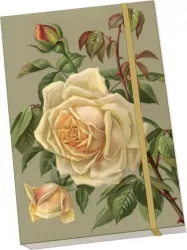 Notatnik ozdobny A5 STNOTE 142 Żółte róże