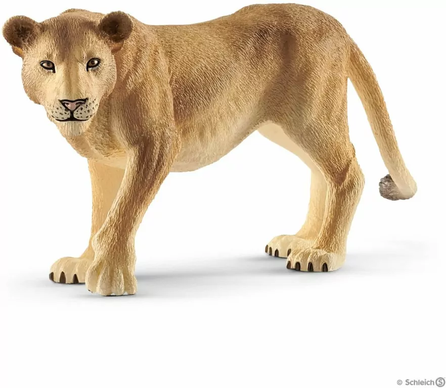 Lwica. Wild Life - tantis.pl