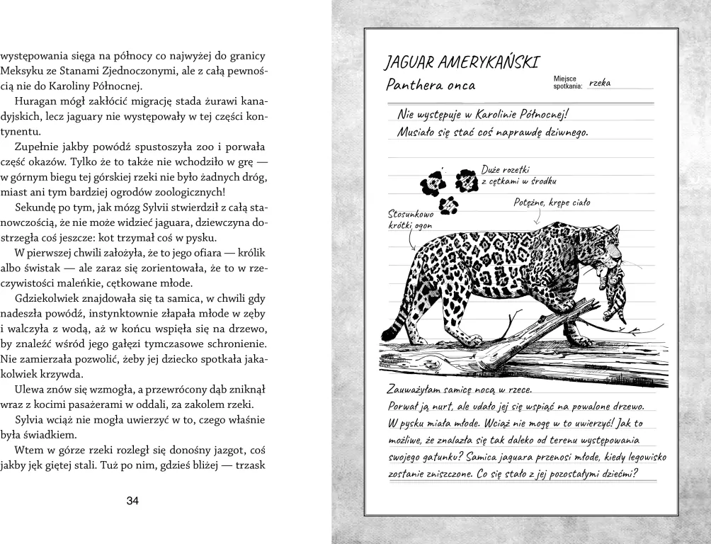 Sylvia i powódź stulecia - tantis.pl