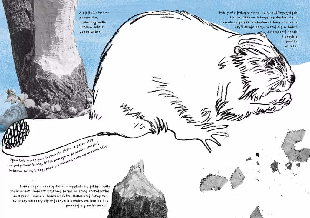 Kajak. Ćwiczenia przyrodnicze dla czterolatków. Mądrale - tantis.pl