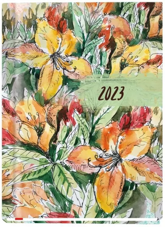 Terminarz 2023 Marta. Michalczyk i Prokop - tantis.pl