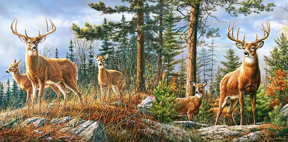 Puzzle 4000 el. Royal Deer Family - tantis.pl