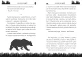 Las pełen przygód - tantis.pl