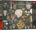 Puzzle 500 Finders Keepers: Grzyby TREFL - tantis.pl