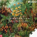 Muscinae. Ernst Haeckel. Imagination. Puzzle 1000 - tantis.pl