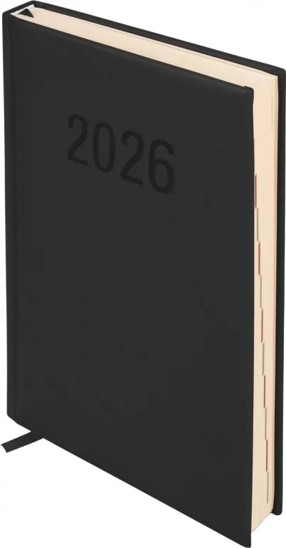 Kalendarz 2026 A5 Colorfix DNS czarny - tantis.pl