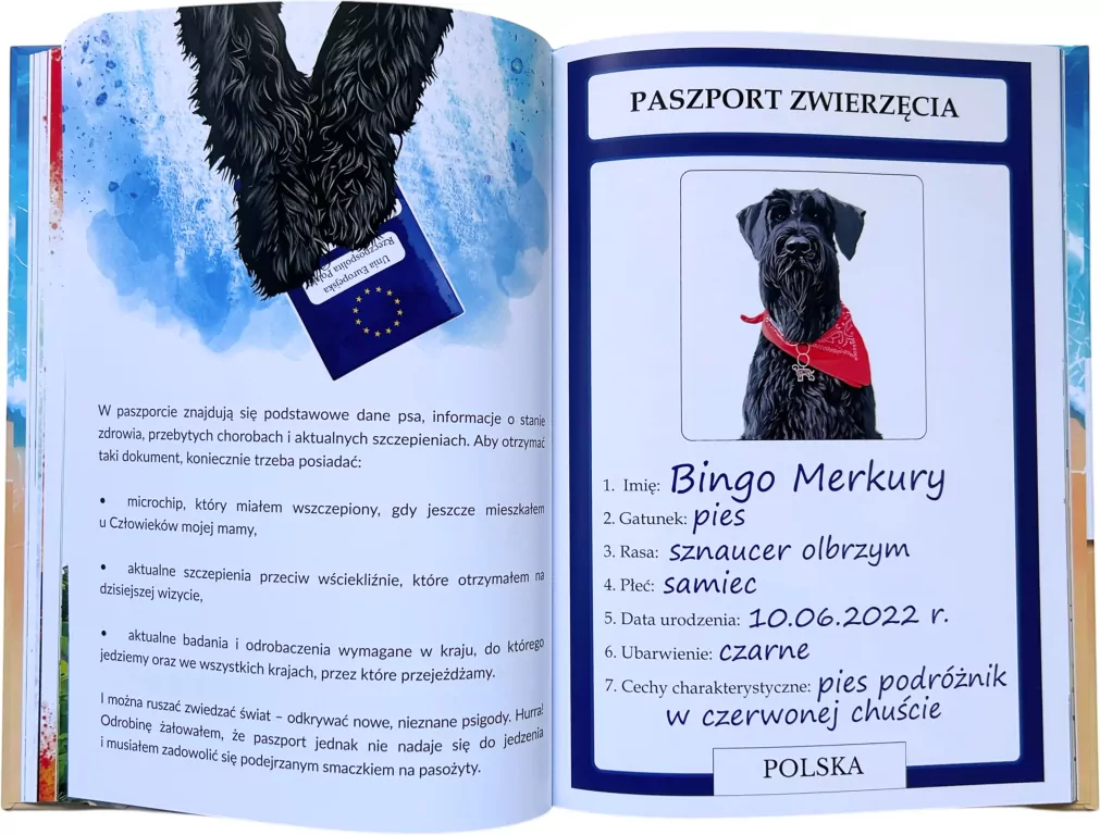 Sznaucer Bingo na tropie psigód - tantis.pl