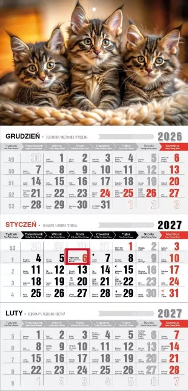 Kalendarz 2027 trójdzielny ekonomiczny kotki - tantis.pl