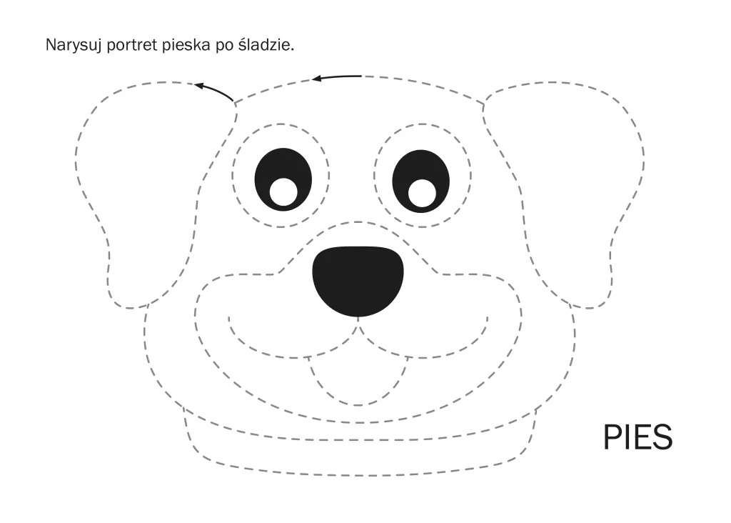 Rysuj i zmazuj z konikiem - tantis.pl