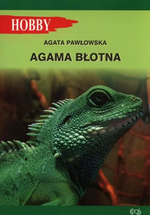 Agama błotna - tantis.pl