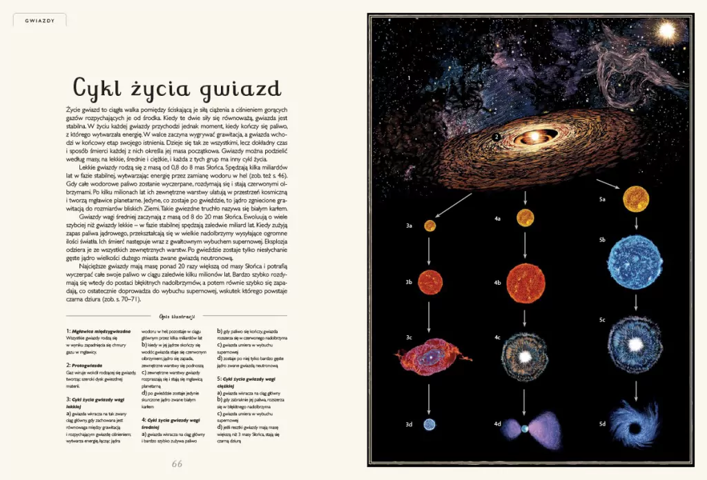 Planetarium. Muzeum kosmosu - tantis.pl