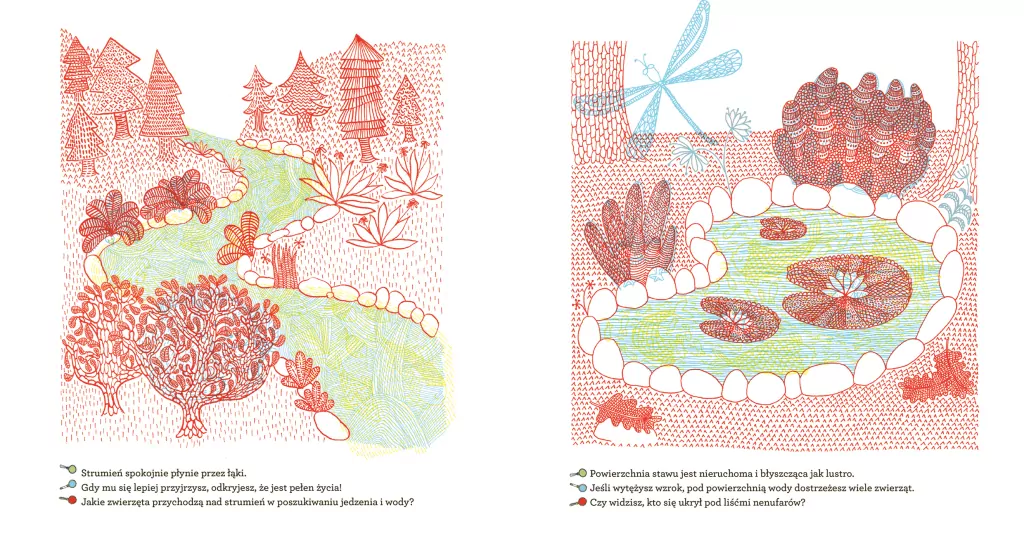 Co kryje las? - tantis.pl