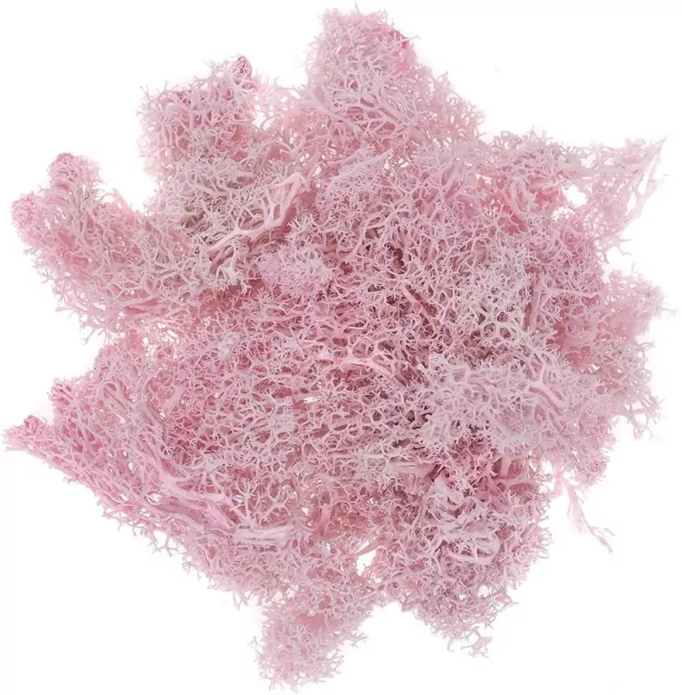Mech różowy 30g - tantis.pl