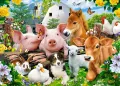 Puzzle 60. Farm Friends - tantis.pl