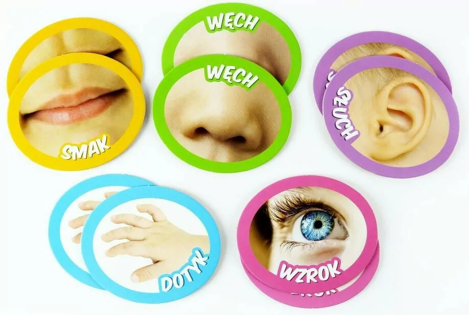 Ciało człowieka. Carotina - tantis.pl