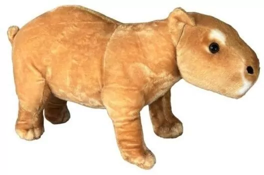 Kapibara, 52cm