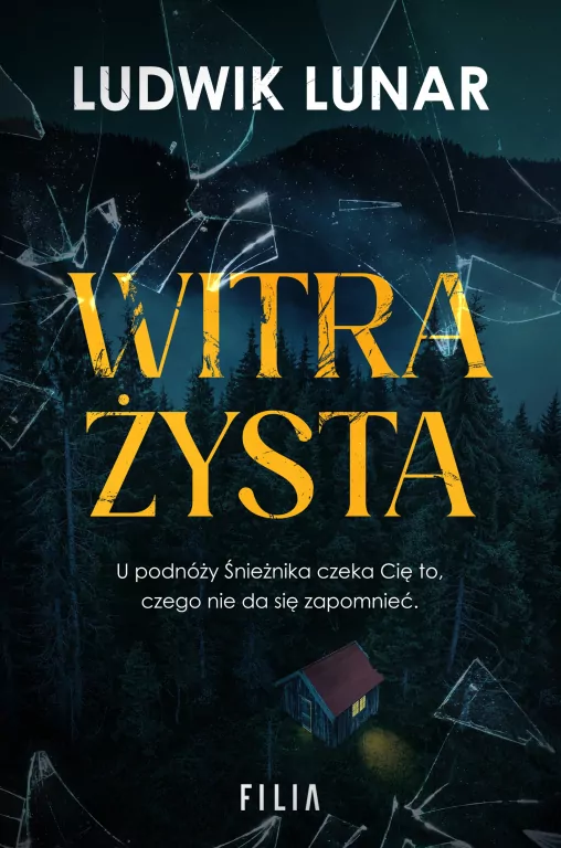 Witrażysta - tantis.pl